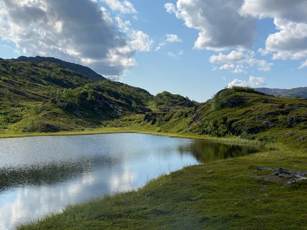 Vi står på våre forfedres&nbsp;skuldre