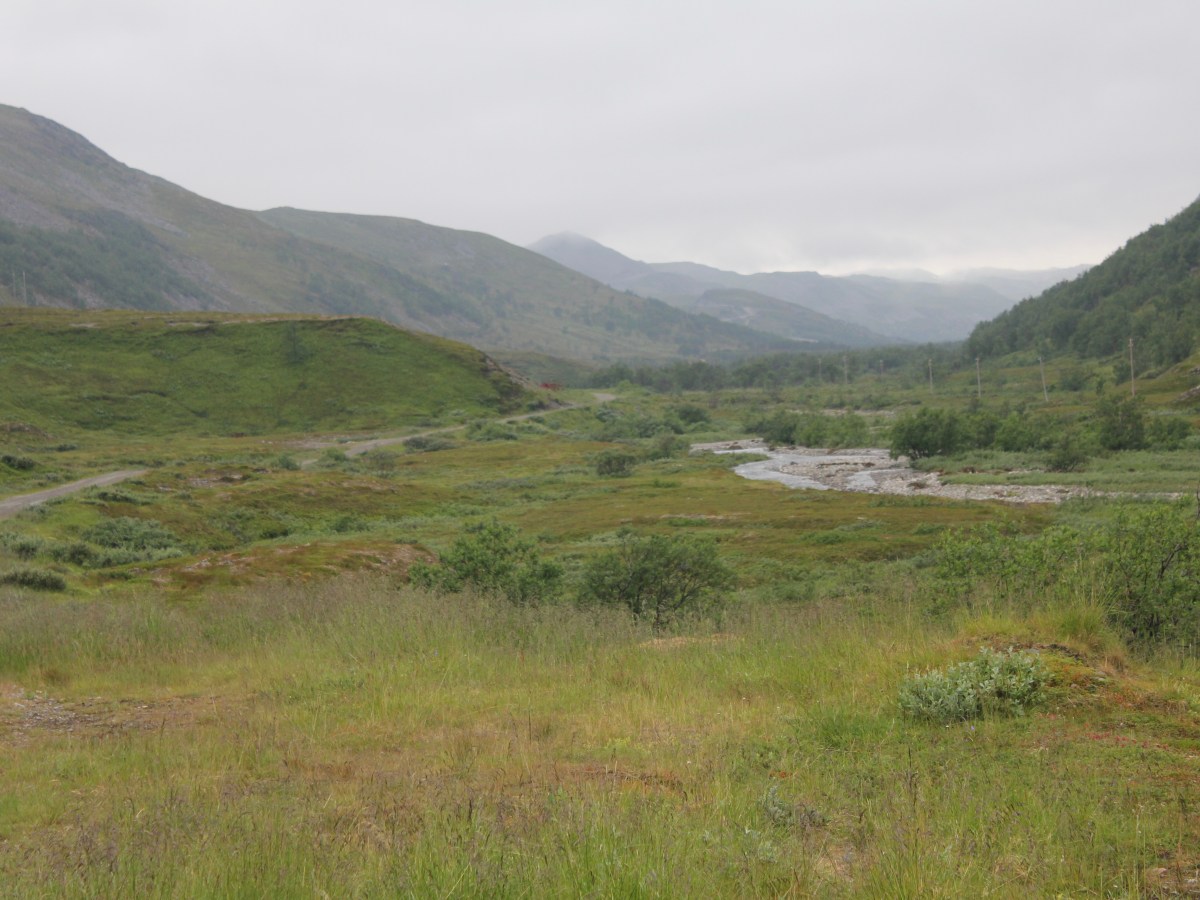 De underjordiske/hálldit